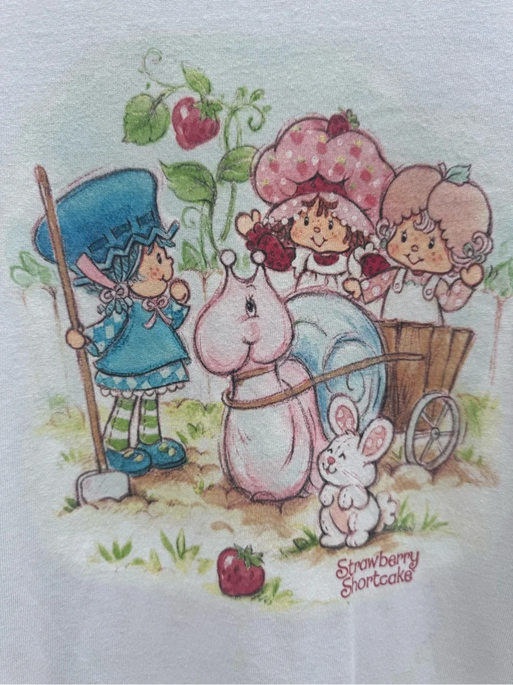 Strawberry Shortcake Recycled Distressed Baby Tee